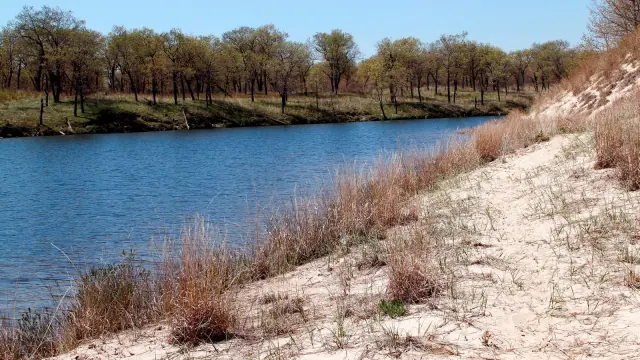 Dunes and wetland ponds at Miller Woods in Gary, Indiana.